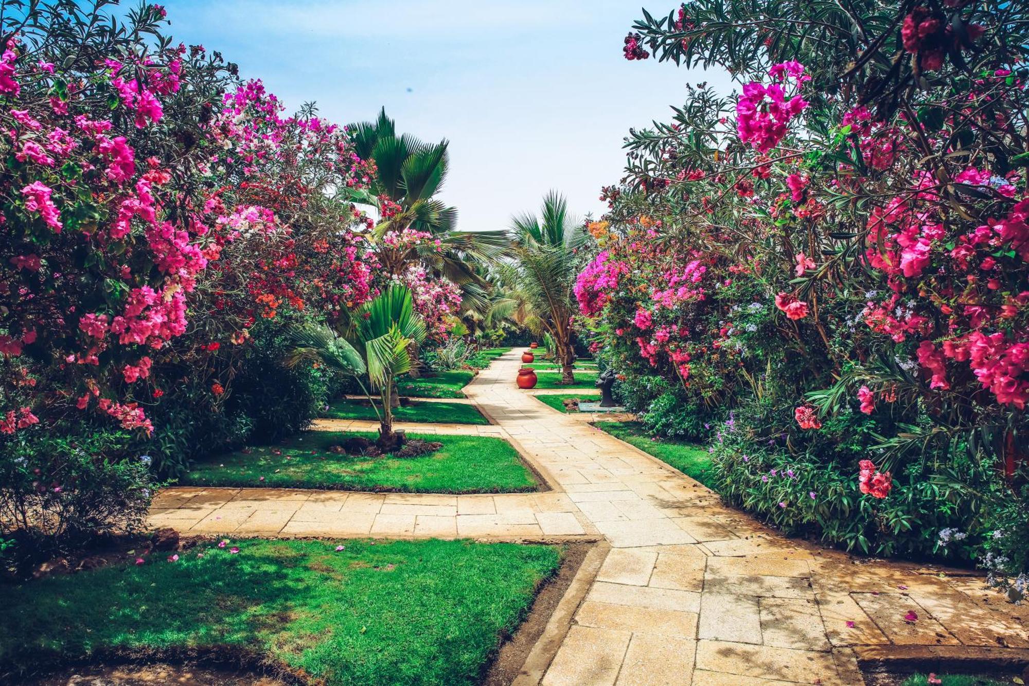 Hotel Royal Horizon Baobab Somone Zewnętrze zdjęcie